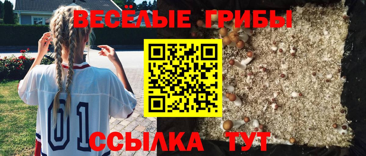 Псилоцибиновые грибы Psilocybine cubensis Прохладный