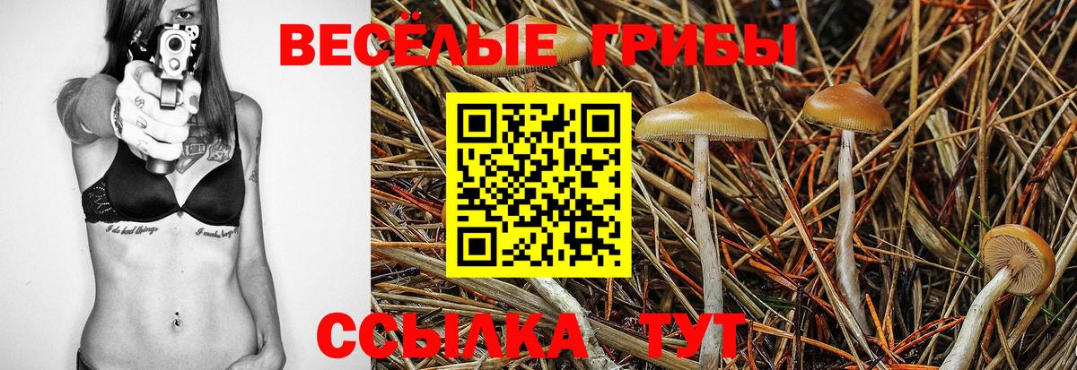 Прохладный  Псилоцибиновые грибы прущие грибы  Вход с VPN  Галлюциногенные грибы MAGIC MUSHROOMS 